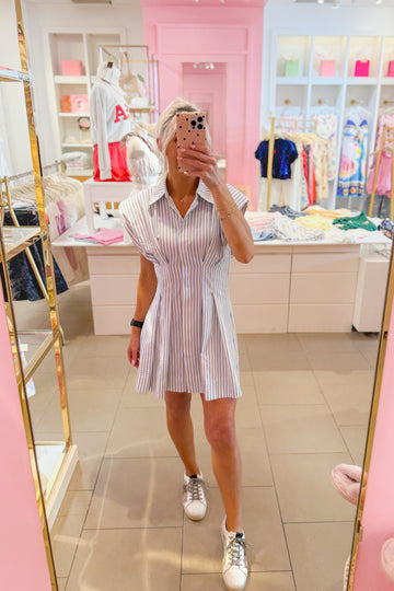 Blue Striped Cinched Waist Mini Dress