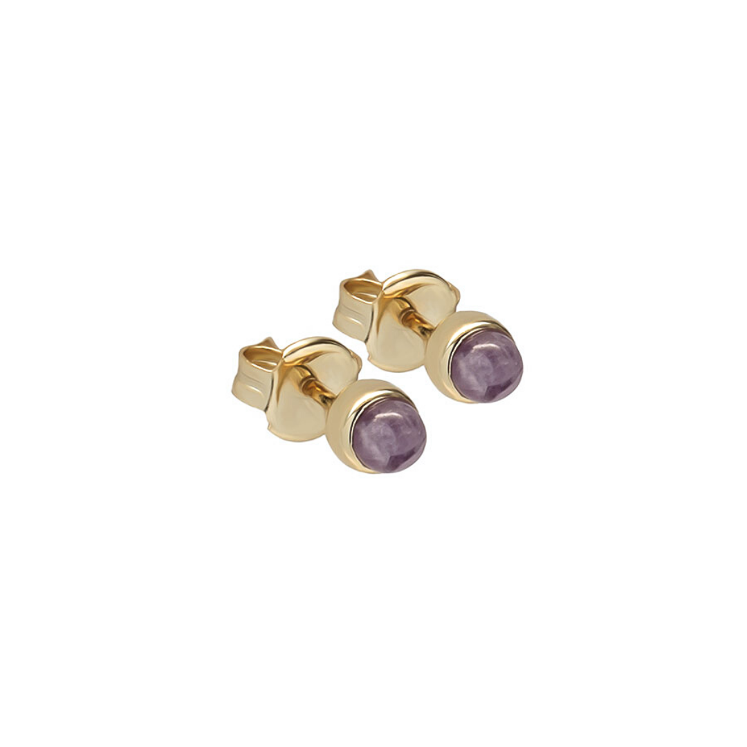 Amethyst Dreams Stud Earrings